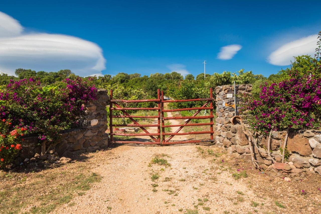 Villa Sa Tanca 'E Pedduzza à Orosei Extérieur photo