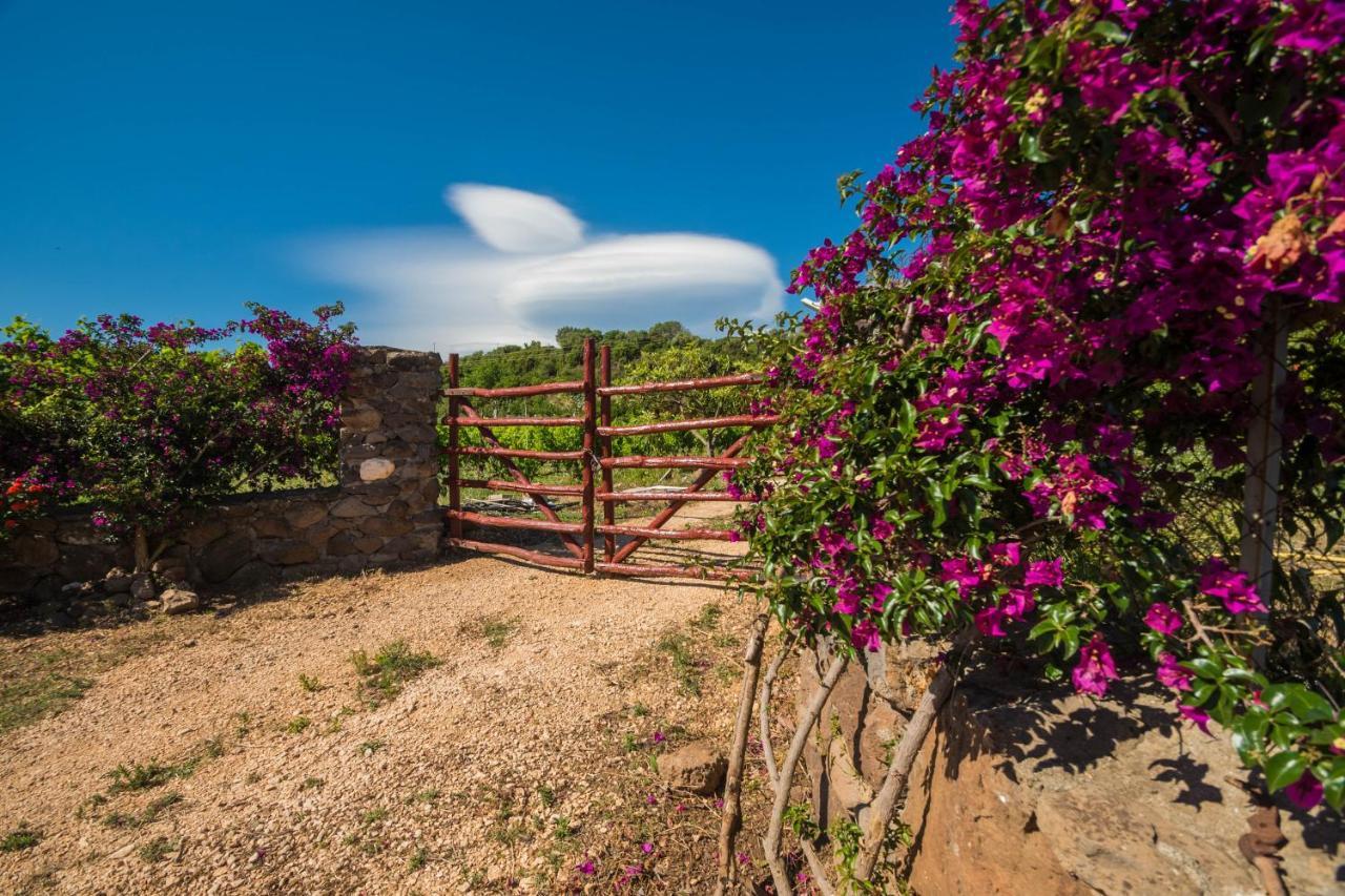 Villa Sa Tanca 'E Pedduzza à Orosei Extérieur photo